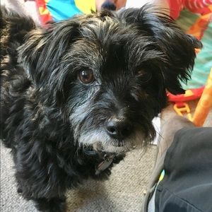 Meet your Posher, Pam